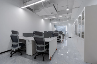 辦公室裝修中的“綠色植物”應(yīng)用：打造自然健